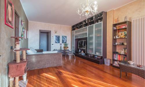 Attico con 3 camere  terrazzo di 50 mq.